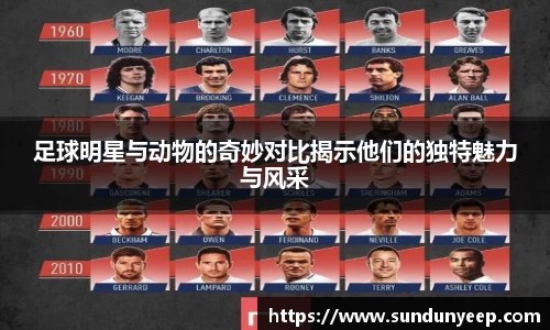 足球明星与动物的奇妙对比揭示他们的独特魅力与风采